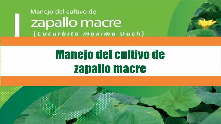 Manejo del cultivo dezapallo macre
