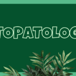 Fitopatología