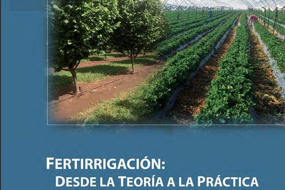 FERTIRRIGACIÓN: DESDE LA TEORÍA A LA PRÁCTICA